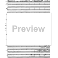 Birds In Light - Full Score