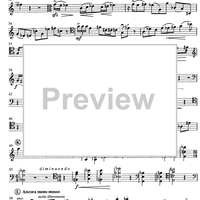 Contrabbasso concertante - Double Bass