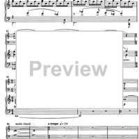 Jarní Hudba (Spring music)