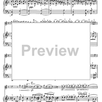 Concerto in F Major for Flute, Strings and Cembalo - Piano Score