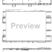 Suite andaluza - Score