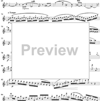 Concertino, Op. 107 - Flute