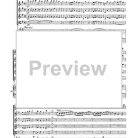 Double Concerto for Recorder and Flute in E minor - Score