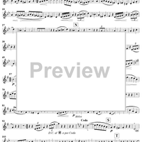 Grand Duo in D Major , Op. 39, No. 3 - Flute 2