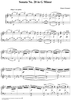 Sonata No. 20 in G Minor