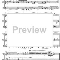 Fanfaren und Hirtenlieder Op.124b - Score