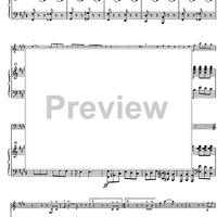 Suite andaluza - Score