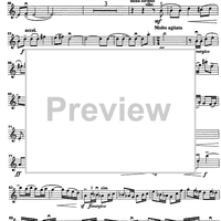 Godalni Quartet - Violin 1