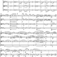 String Quartet No. 11 in E Major, Op. posth. 125, No. 2 - Score