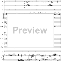 Oboe Concerto in C Major, HobVIIg/C1 Movement 1 - Full Score