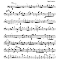 Serenade - from Schwanengesang, #4 - Part 3 Cello or Bassoon