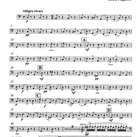 Moto perpetuo Op.11 - Double Bass