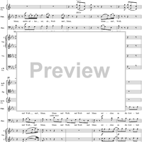 "Bei Männern, welche Liebe fühlen", No. 7 from  "Die Zauberflöte", Act 1 (K620) - Full Score