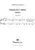 Sonata in C minor   (K40/P119/L357)