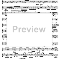 Rag time rag - Bass Clarinet