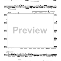 Maid of the Mist - Tuba