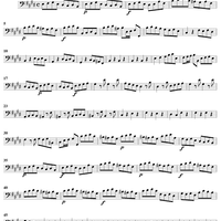 Violin Concerto in E Major    - from "L'Estro Armonico" - Op. 3/12  (RV265) - Cello