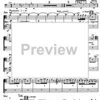 Variazioni su un tema di Prokofiev - Cello