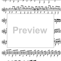 Cavatina from Nel Furor...