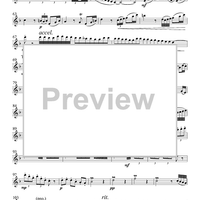 Sonata for Flute and Piano - Flute