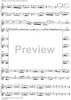 Concerto in E Minor Op. 37 no. 6 - Flute/Violin
