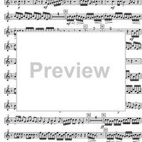 The Arrival of the Queen of Sheba HWV 67 - Trumpet in E-flat