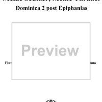 Cantata No. 13  "Meine Seufzer, Meine Thränen," BWV13