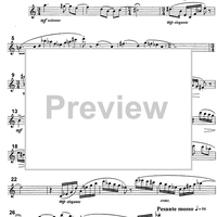 Autumnal encounters - Clarinet in B-flat