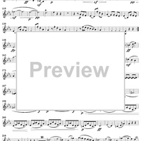 Piano Trio No. 3 in C Minor, Op. 1, No. 3 - Violin