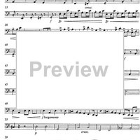 Allegro from a minor concerto - Bass Trombone