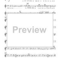 The Wellerman Come - Bb Trumpet 2