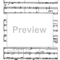 Miniatures (manuscript version) - Score