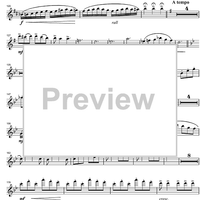 Argentinian Rhapsody - Flute