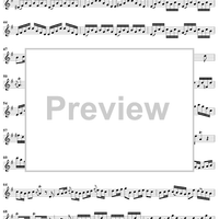 Sonata No. 23 in G Major - Flute