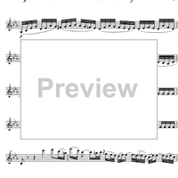 Divertimento Bb Major KV254 - Violin