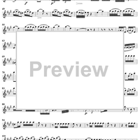 Grand Quatuor Concertante, Op. 53, No. 2 - Flute 4