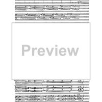 Birds In Light - Full Score