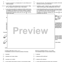 Simphonia quarta super tenor aquileiensis - Preface