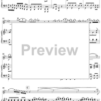 Flute Concerto in G Major - Piano Score