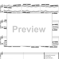 The Virtuoso Pianist, Vol. 2: Exercises 21-43