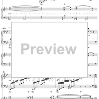 Concert Fantasy. Part 2. Contrastes