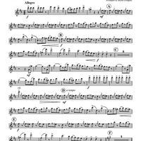 Radetzky Marsch - Flute