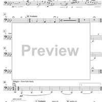 In the Evening - Tuba