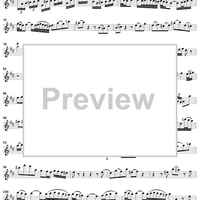 Flute Sonata No. 1 in B Minor, BWV1030 - Flute