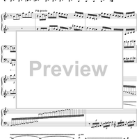 Two Cadenzas to Mozart: Piano Concerto No. 20 in D Minor, K466