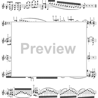 Twenty-Four Caprices: Nos. 1 - 12