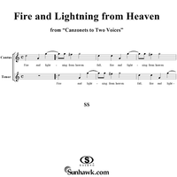 Fire and Lightning from Heaven