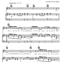 Eyesight To The Blind