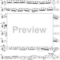 Concertino, Op. 107 - Flute