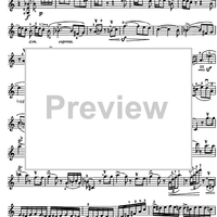 Introduction and Rondo capriccioso a minor Op.28 - Violin